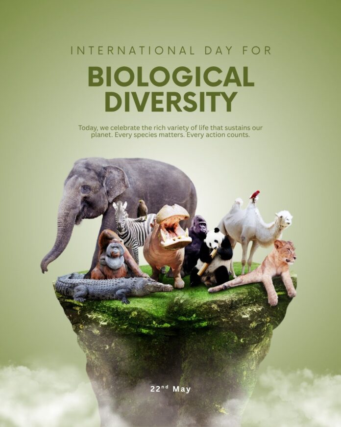 International Day for Biological Diversity 2026