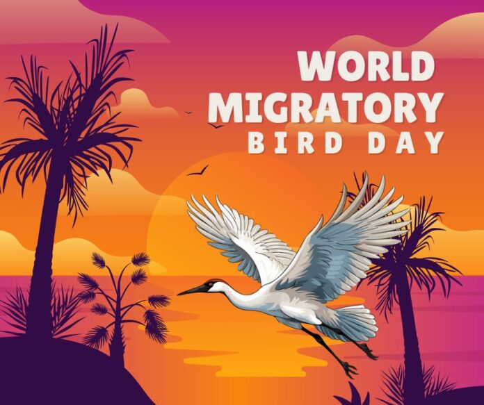World Migratory Bird Day 2026